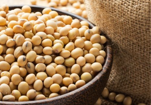 65f1aa026b8f8feab1424323b5ba585e (1)