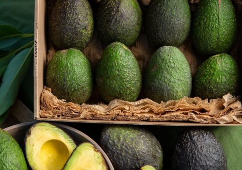 6fae05e9d263a1ac743537163d8e06c8