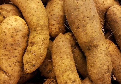 d1d1f93d958085f1b509d6fc466d7051 (1)